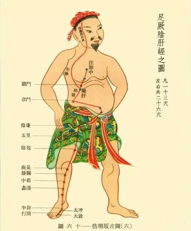 春天养护“人体将军”,无病一身轻!(图2) 春天养护“人体将军”,无病一身轻!(图2)