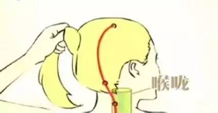 春天养护“人体将军”,无病一身轻!(图16) 春天养护“人体将军”,无病一身轻!(图16)