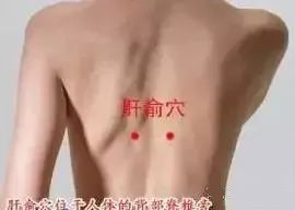 春天养护“人体将军”,无病一身轻!(图22) 春天养护“人体将军”,无病一身轻!(图22)