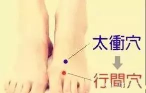 春天养护“人体将军”,无病一身轻!(图23) 春天养护“人体将军”,无病一身轻!(图23)